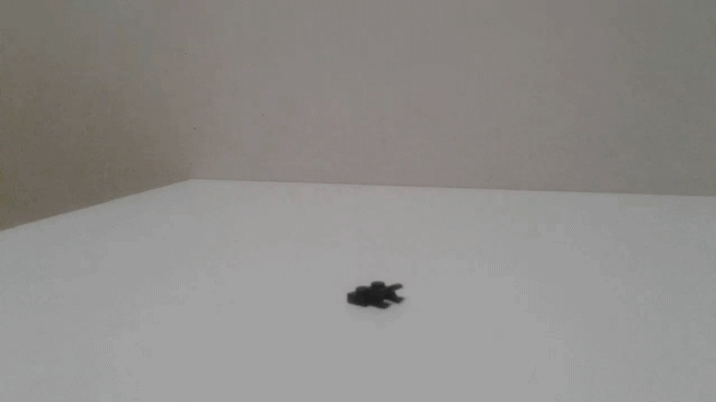 My Stop Motion Movie(1)_1.gif
